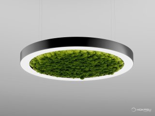 Lampe modulable HOKASU Halo Moss (Anneau avec mousse)
