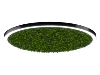 Светильник HOKASU Halo Moss (RAL9005/D1850/LT70 — 4K/174W/120deg)