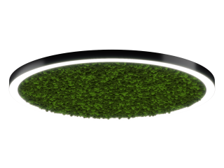 Светильник HOKASU Halo Moss (RAL9005/D1550/LT70 — 4K/146W/120deg)