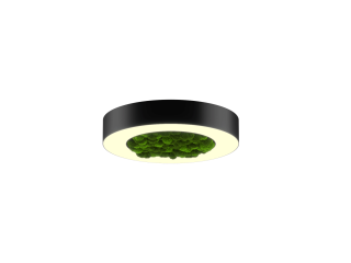 Светильник HOKASU Halo Moss (RAL9005/D425/LT70 — 3K/40W/120deg)