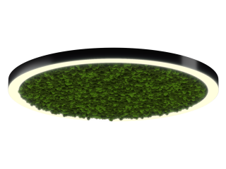 Светильник HOKASU Halo Moss (RAL9005/D1400/LT70 — 3K/132W/120deg)