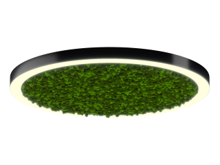 Светильник HOKASU Halo Moss (RAL9005/D1250/LT70 — 3K/118W/120deg)