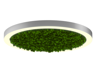 Светильник HOKASU Halo Moss (RAL9003/D1050/LT70 — 3K/99W/120deg)