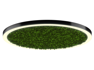 Светильник HOKASU Halo Moss (RAL9005/D1550/LT70 — 3K/146W/120deg)