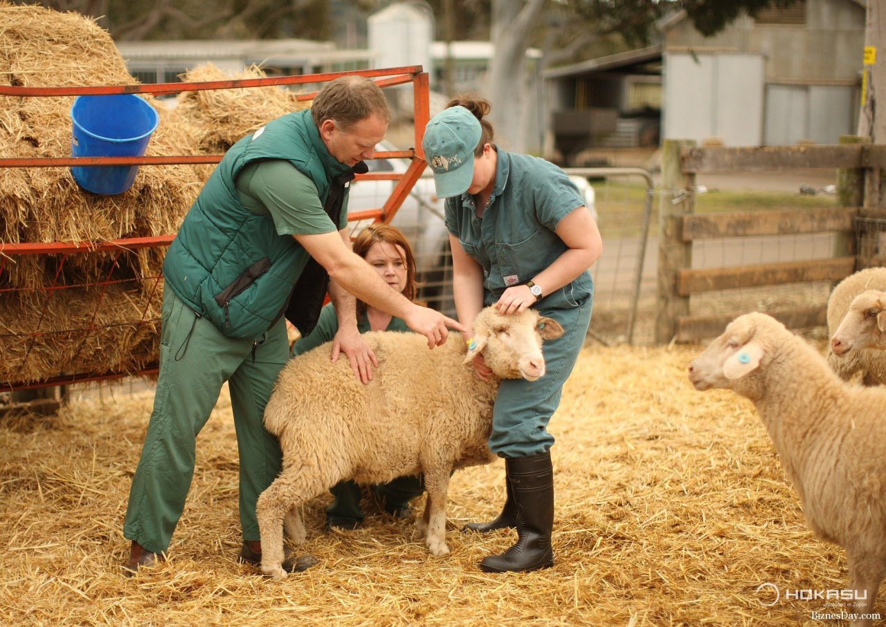 Beleuchtung für Bauernhöfe und Landwirtschaft