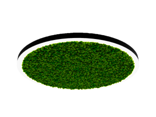 Modular lamp HOKASU Halo Moss (Ring with moss)