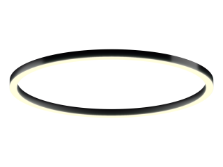 Lamp 6063 Ring (RAL9005/2000mm/LT70 — 3K/188W)