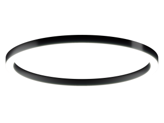 Lamp 6063 Ring (RAL9005/1700mm/LT70 — 4K/160W)