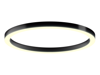 Lamp 6063 Ring (RAL9005/1850mm/LT70 — 3K/174W)