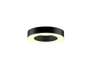 Lamp 6063 Ring (RAL9005/425mm/LT70 — 3K/40W)
