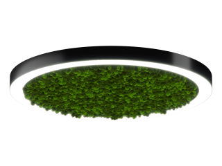 Lamp HOKASU Halo Moss (RAL9005/D1050/LT70 — 4K/99W/120deg)