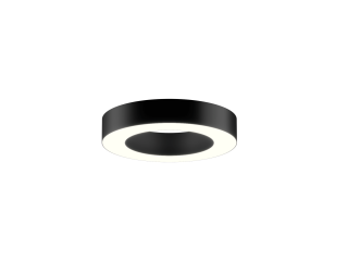 Lamp 6063 Ring (RAL9005/425mm/LT70 — 4K/40W)
