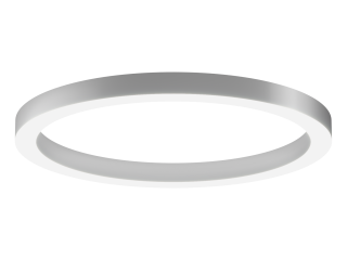 Lamp 6063 Ring (RAL/1050mm/LT70) – case only