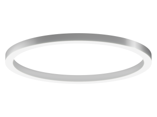 Lamp 6063 Ring (RAL/1400mm/LT70) – case only