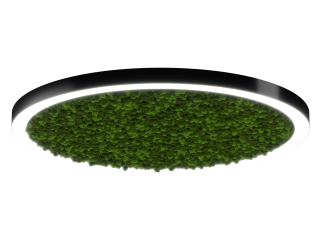 Lamp HOKASU Halo Moss (RAL9005/D1400/LT70 — 4K/132W/120deg)