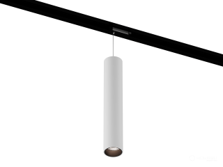 Lamp HOKASU Tube Hang TR2 (RAL9003+B/D55/320mm — 5K/10W/10deg)