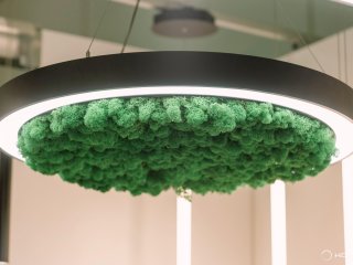 Modular lamp HOKASU Halo Moss (Ring with moss)