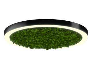 Lamp HOKASU Halo Moss (RAL9005/D1050/LT70 — 3K/99W/120deg)