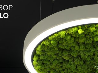 Modüler armatürler HOKASU Halo Moss (Yosunlu  halka şeklinde)