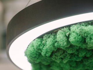 Modular lamp HOKASU Halo Moss (Ring with moss)