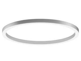 Lamp 6063 Ring (RAL/1700mm/LT70) – case only