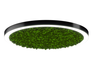 Lamp HOKASU Halo Moss (RAL9005/D1250/LT70 — 4K/118W/120deg)