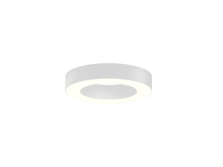 Lamp 6063 Ring (RAL9003/425mm/LT70 — 4K/40W)