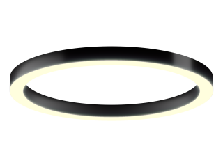 Lamp 6063 Ring (RAL9005/1250mm/LT70 — 3K/118W)