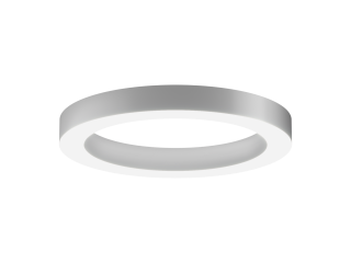 Lamp 6063 Ring (RAL/625mm/LT70) – case only