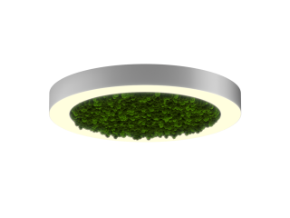Lamp HOKASU Halo Moss (RAL9003/D625/LT70 — 3K/59W/120deg)