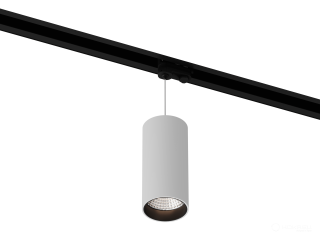 Lamp HOKASU Tube Hang TR4 (RAL9003+B/D75/160mm — 4K/20W/10deg)
