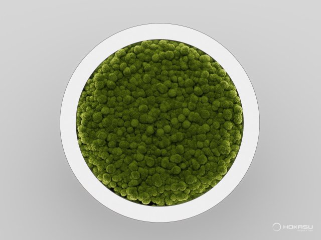 Modular lamp HOKASU Halo Moss (Ring with moss)