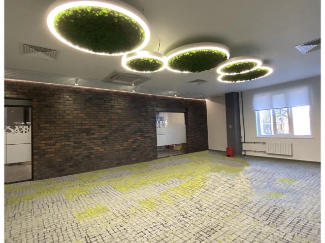 Modular lamp HOKASU Halo Moss (Ring with moss)