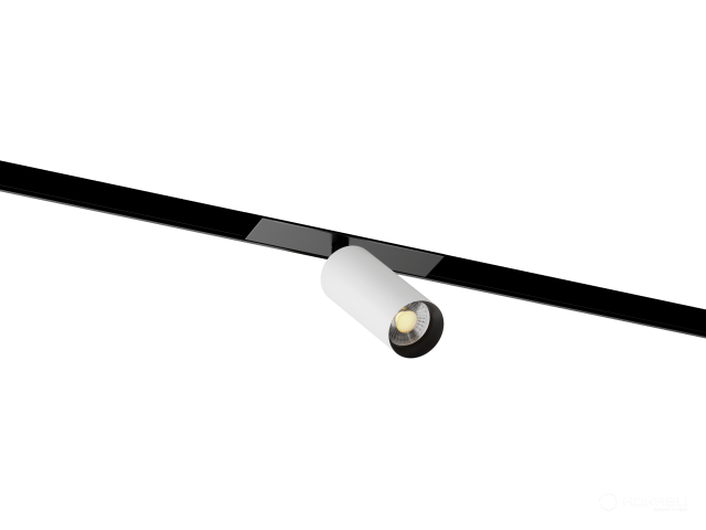 Lamp HOKASU OneLine Tube (RAL9003+B/D40/100mm/Lens — 3K/7W/24deg)
