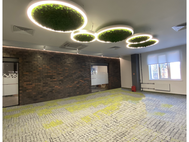 Suspended luminaire HOKASU Halo
