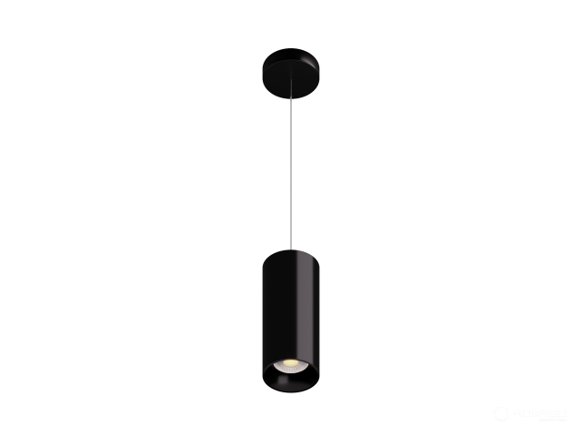 Lamp HOKASU Tube Hang (RAL9005/D85/160mm/Lens — 5K/40W/60deg/CRI98)