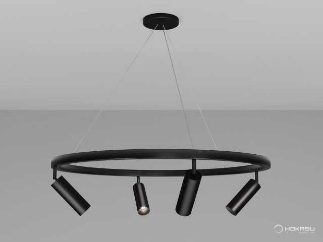 Pendant lamp HOKASU PL1 (RAL9005/830mm — 3K/40W/38deg)