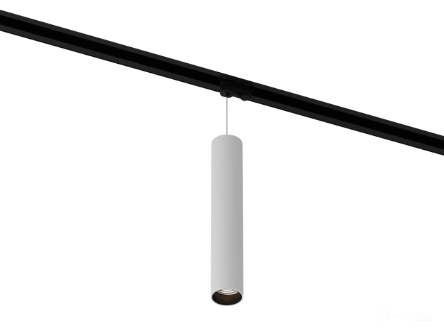 Lamp HOKASU Tube Hang TR4 (RAL9003+B/D55/320mm — 3K/10W/23deg)