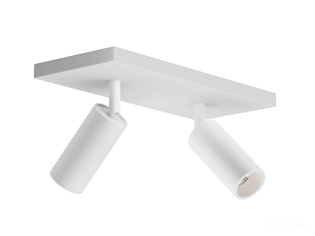 Lamp HOKASU Tube Duo (RAL9003/D40/Lens — 2.7K/10W/38deg/CRI98)