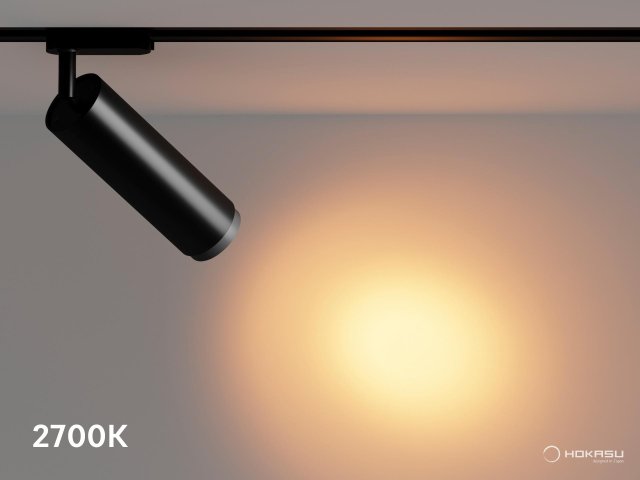 Track lamp HOKASU Tube Zoom TR2