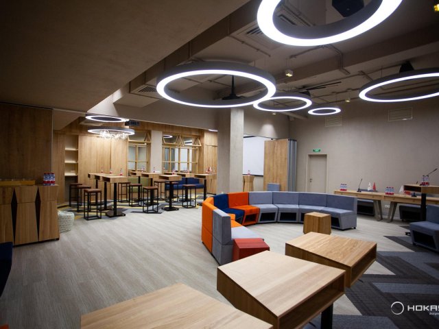Suspended luminaire HOKASU Halo