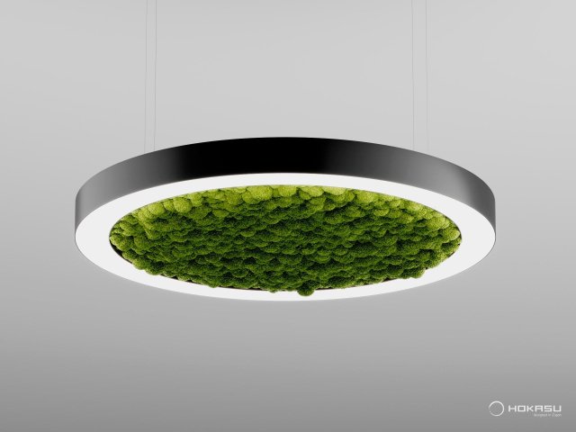 Modular lamp HOKASU Halo Moss (Ring with moss)