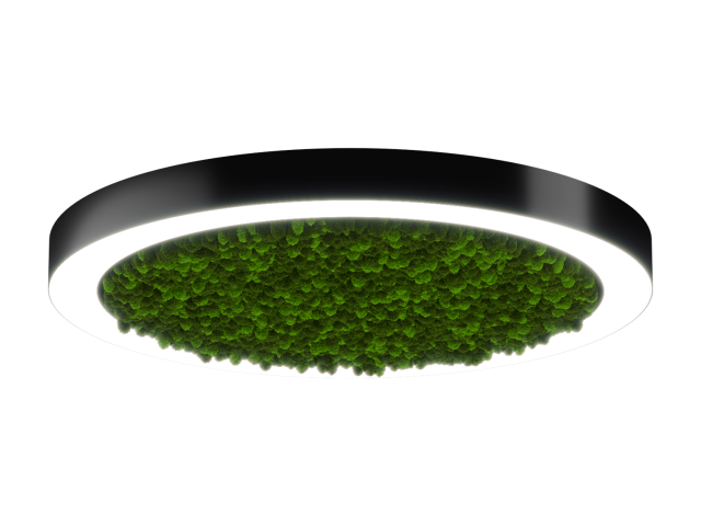 Lamp HOKASU Halo Moss (RAL9005/D830/LT70 — 4K/78W/120deg)