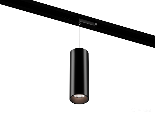 Lamp HOKASU Tube Hang TR2 (RAL9005/D55/160mm — 5K/10W/38deg)