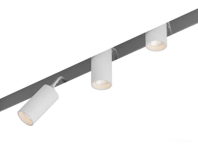 Lamp HOKASU Tube HIDE TR4 (RAL9003/D75 — 5K/20W/23deg)