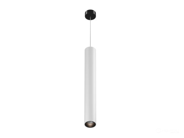 Lamp HOKASU Tube Hang+ (RAL9003+B/D40/320mm/Lens — 2.7K/5W/24deg)