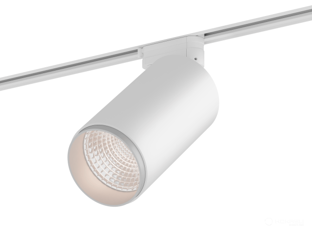 Lamp HOKASU Tube Zoom TR4 (RAL9003/D85/160mm — 5K/30W/12-50deg/CRI97/VB)