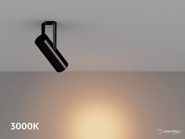 Surface lamp HOKASU Tube Clip