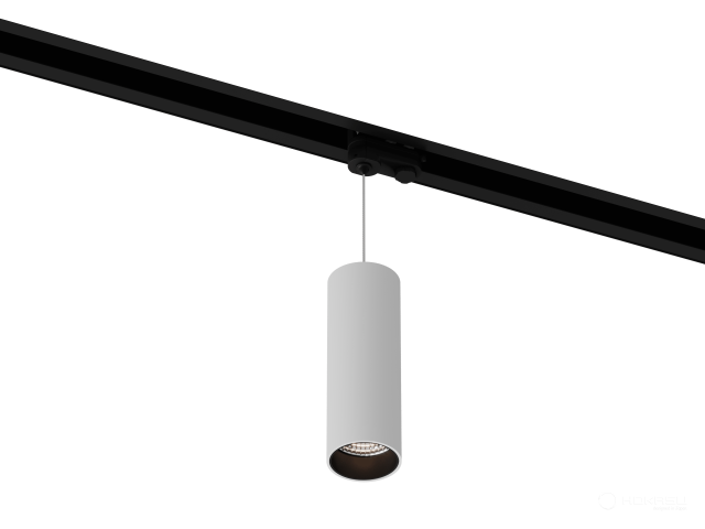 Lamp HOKASU Tube Hang TR4 (RAL9003+B/D55/160mm — 2.7K/10W/23deg)