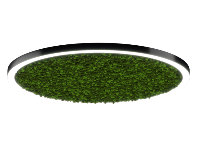 Lamp HOKASU Halo Moss (RAL9005/D1850/LT70 — 4K/174W/120deg)